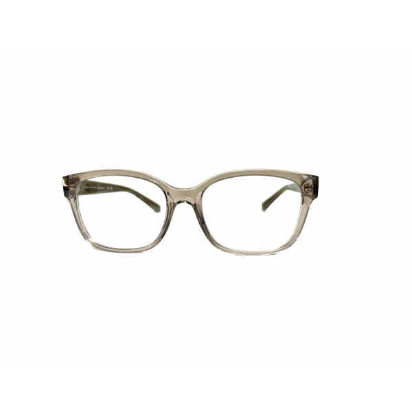 Rame Ochelari ARMANI EXCHANGE AX 3098    399 LEI